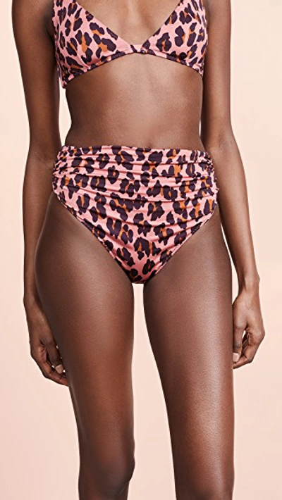 Shop Stella Mccartney Ballet Bikini Bottoms In Leopard Print