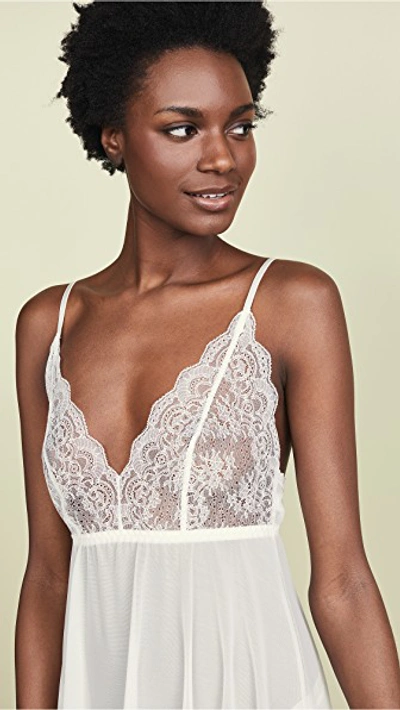 Shop Hanky Panky Julia Chemise In Ivory