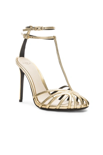 Shop Alevì Alevi Stella Sandal