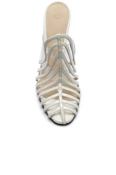 Shop Alevì Alevi Alessandra Mule In Patent White