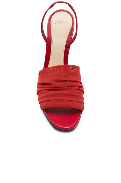 Shop Alevì Alevi Olivia Sandal In Net Red