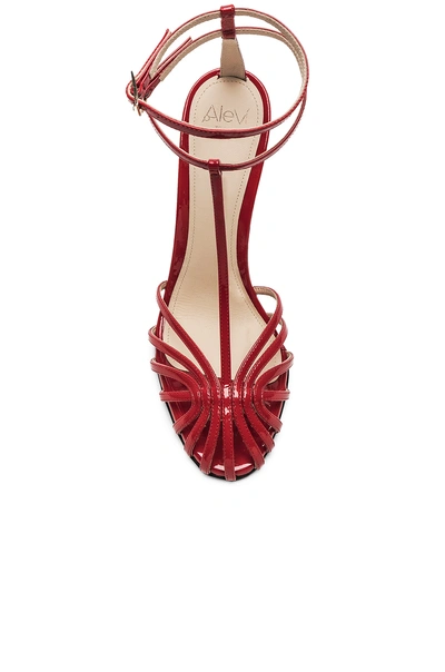 Shop Alevì Alevi Milano Alevi Stella Sandal In Red In Patent Red