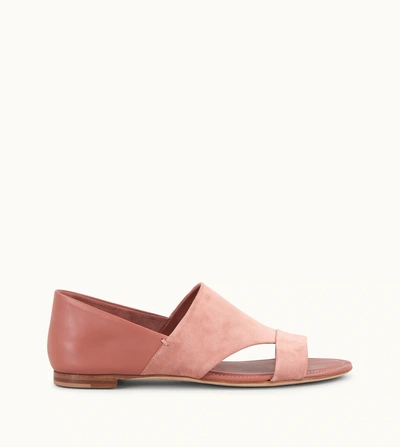Shop Tod's Sandals In Suede In Pink