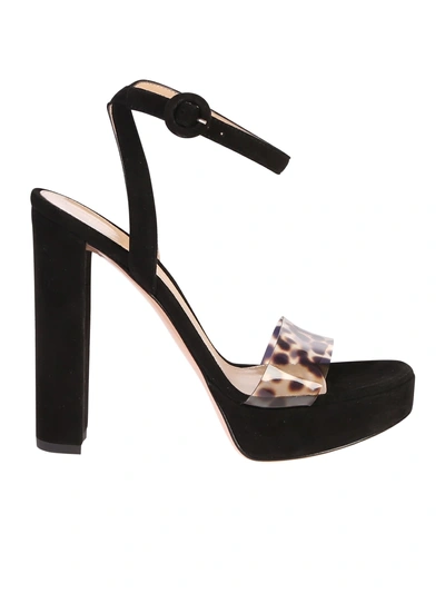 Shop Gianvito Rossi Leopard Print Sandals In Black