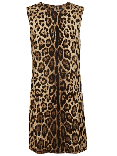 Shop Dolce & Gabbana Leopard Dress In Multicolor