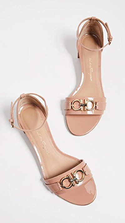 Shop Ferragamo Como 35mm Sandals In New Blush