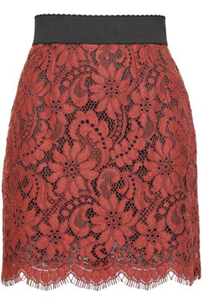 Shop Dolce & Gabbana Woman Cotton-blend Corded Lace Mini Skirt Brick