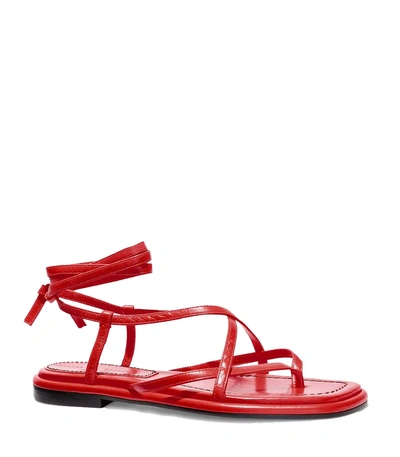 Shop Proenza Schouler Strappy Flat Sandals In Poppy