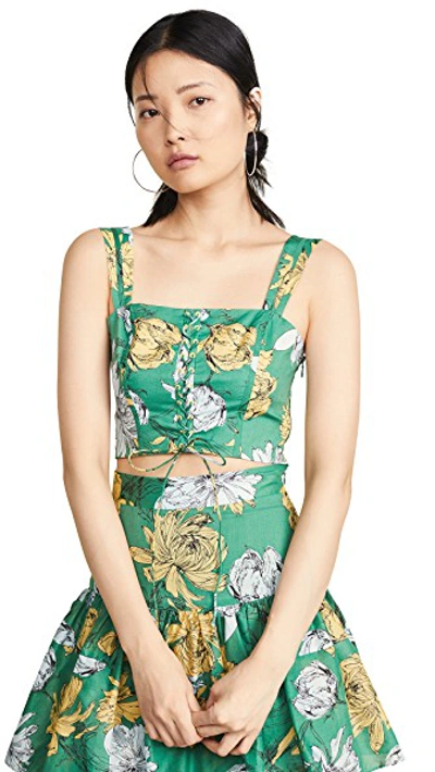 Shop Alexis Kiddo Top In Garden Green