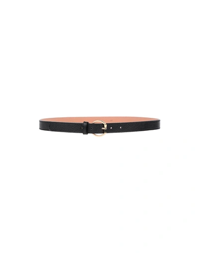 Shop Gianni Chiarini Thin Belt In Black