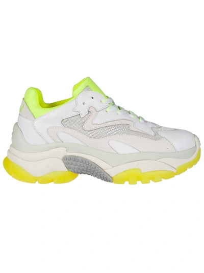 Shop Ash Addict Sneakers In White/fluo Yellow