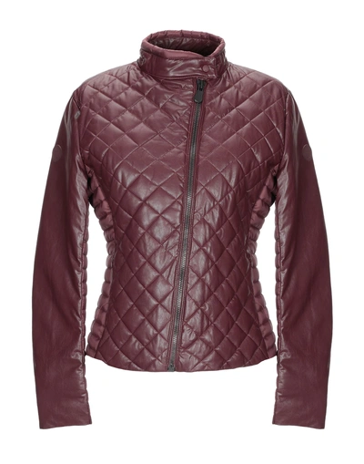 Shop Save The Duck Down Jackets In Maroon