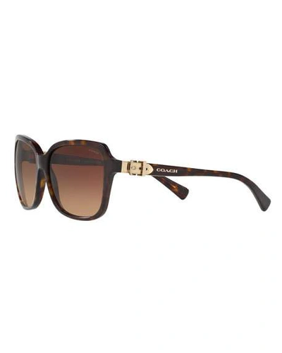 Shop Coach Square Acetate Sunglasses W/ 3d Buckle Temples In Dark Tortoise