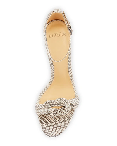 Shop Alexandre Birman Vicky Knot Snakeskin High-heel Sandals In Nautral