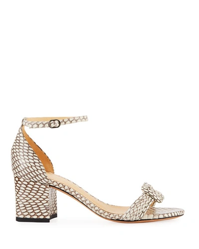 Shop Alexandre Birman Vicky Knot Snakeskin Sandals In Brown/white