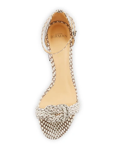 Shop Alexandre Birman Vicky Knot Snakeskin Sandals In Brown/white