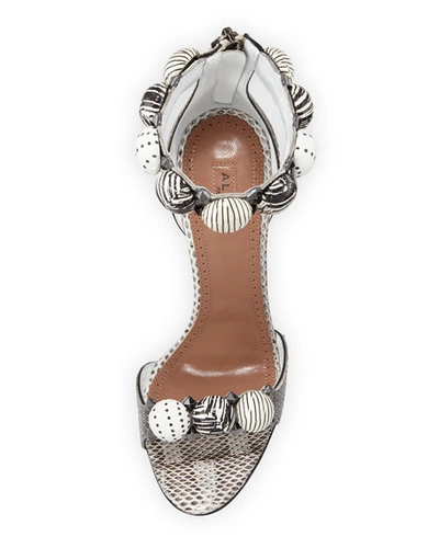 Shop Alaïa Bombe Stud Snakeskin Ankle-wrap Sandals In Multi