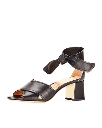 Shop Marion Parke Bella Crisscross Ankle-tie Sandals In Black