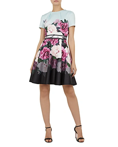 Shop Ted Baker Wilmana Magnificent Skater Dress In Mint