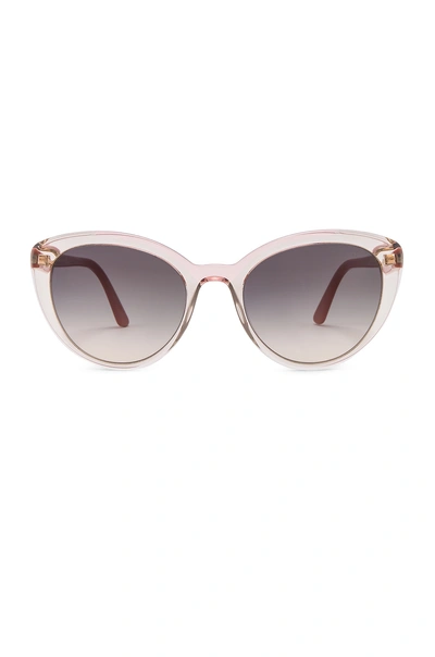 Shop Prada Cinema Round Acetate Sunglasses In Pink. In Transparent Pink Havana & Grey Gradient