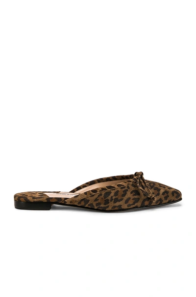 Shop Manolo Blahnik Ballerimu Slide In Animal Print,brown In Leopard Suede