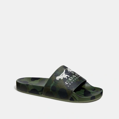 Shop Coach Slide With Wild Beast Print In Wild Beast Green