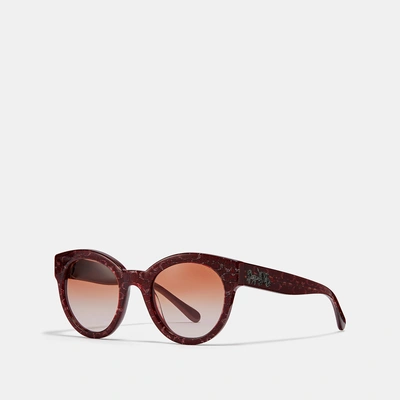 Shop Coach Signature Round Sunglasses In Burgundy Glitter Sig C