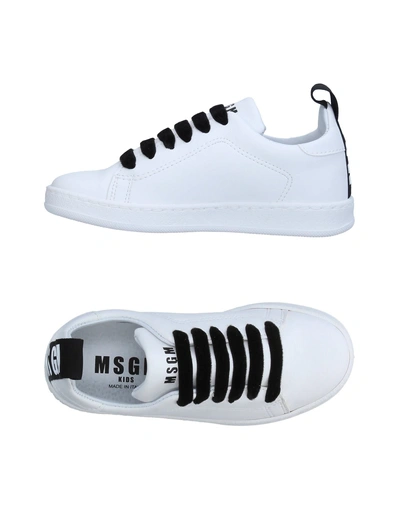 Shop Msgm Sneakers In White