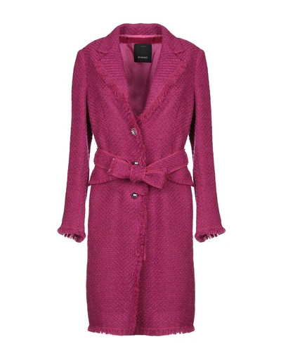 Shop Pinko Coat In Fuchsia