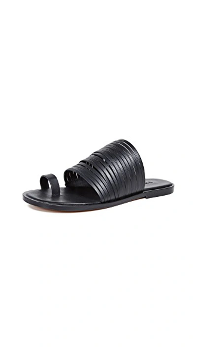 Shop Vince Penrose Toe Ring Slides In Black