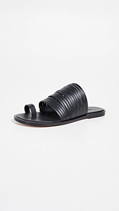 Shop Vince Penrose Toe Ring Slides In Black