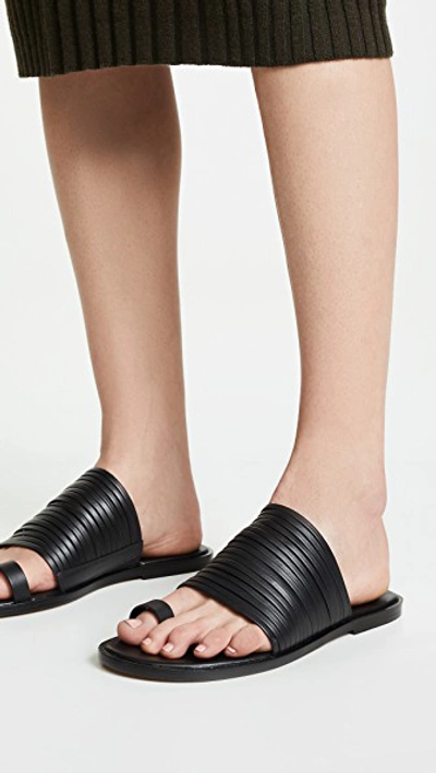 Shop Vince Penrose Toe Ring Slides In Black