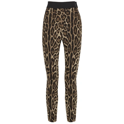 Shop Dolce & Gabbana Leopard-print High-waisted Leggings