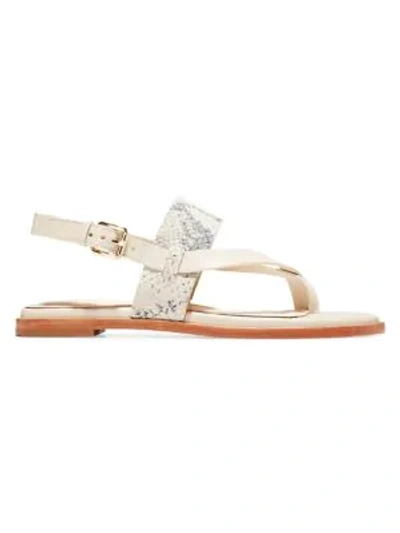 Shop Cole Haan Women's Anica Snakeskin-embossed Leather Slingback Thong Sandals In Ivory