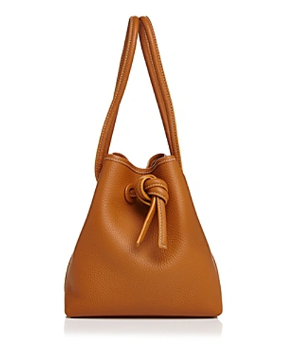 Shop Vasic Bond Small Leather Bucket Bag In Camel