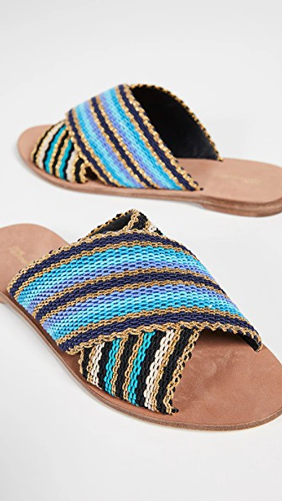Shop Diane Von Furstenberg Cindi Slide Sandals In Blue Multi