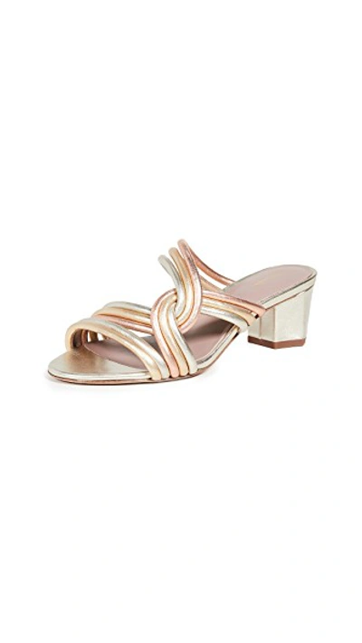 Shop Diane Von Furstenberg Jada Slides In Silver Multi