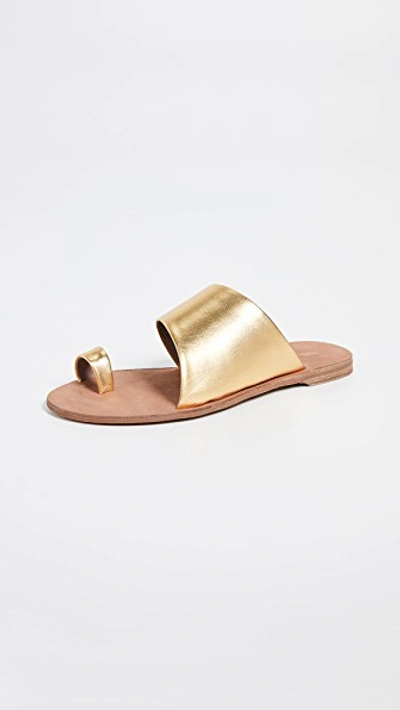 Diane von hot sale furstenberg brittany slides