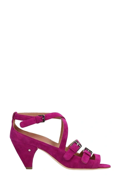 Shop Laurence Dacade Teodora Strappy Sandals In Fuxia