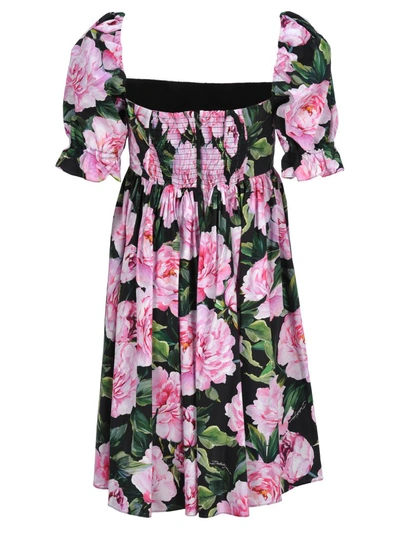 Shop Dolce & Gabbana Peony Print Dress In Black + Floral Print