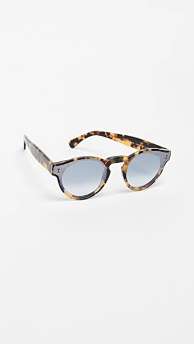 Illesteva one hotsell point one sunglasses