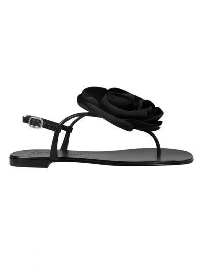 Shop Giuseppe Zanotti Flower Embellished Flat Sandals In Black