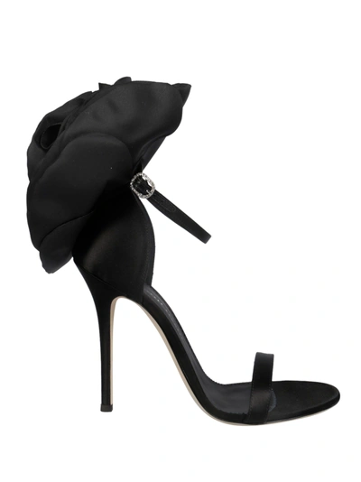 Shop Giuseppe Zanotti Petal Embellished Flat Sandals In Black