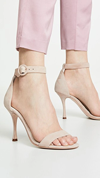 Shop Alice And Olivia Danelle Ankle Strap Sandals In Nude