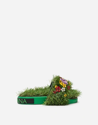 Shop Dolce & Gabbana Slides In Mixed Materials With Embroidery In Green
