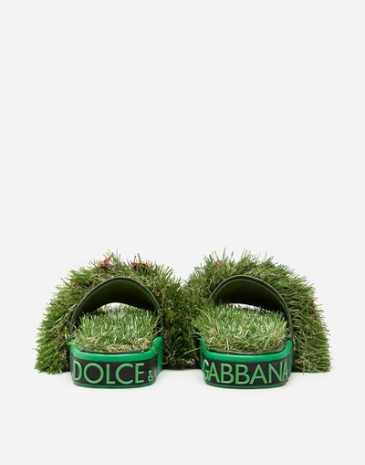 Shop Dolce & Gabbana Slides In Mixed Materials With Embroidery In Green