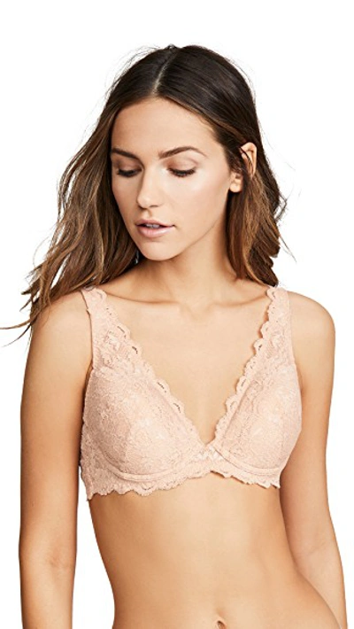 Shop Cosabella Never Say Never Candie Padded Bra In Sette
