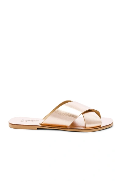 Shop Seychelles Total Relaxation Sandal In Rose Gold
