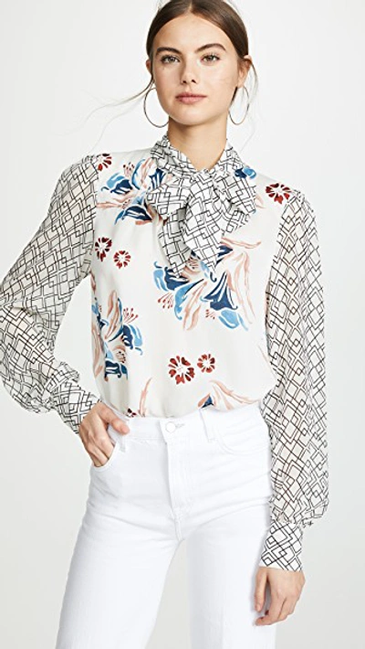 Joie kanela top sales