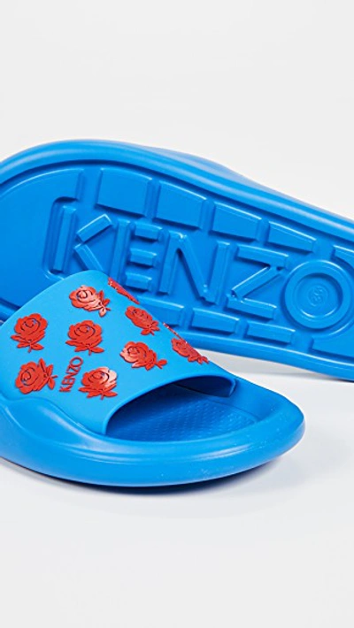 Shop Kenzo Flower Pool Slides In Cobalt